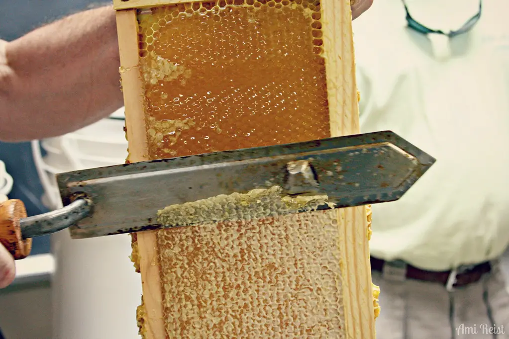 How Is Viscosity Important In Beekeeping?