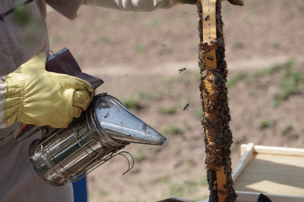 Smoking Your Bees Without Smoke - Bee Smoker Alternatives