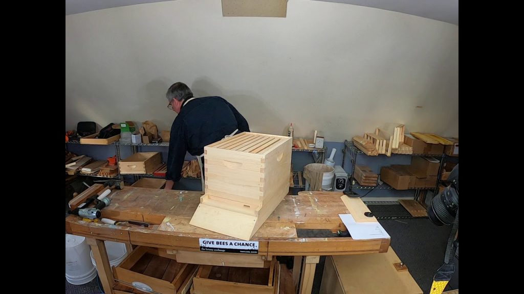 Can You Use Plywood For Beehives