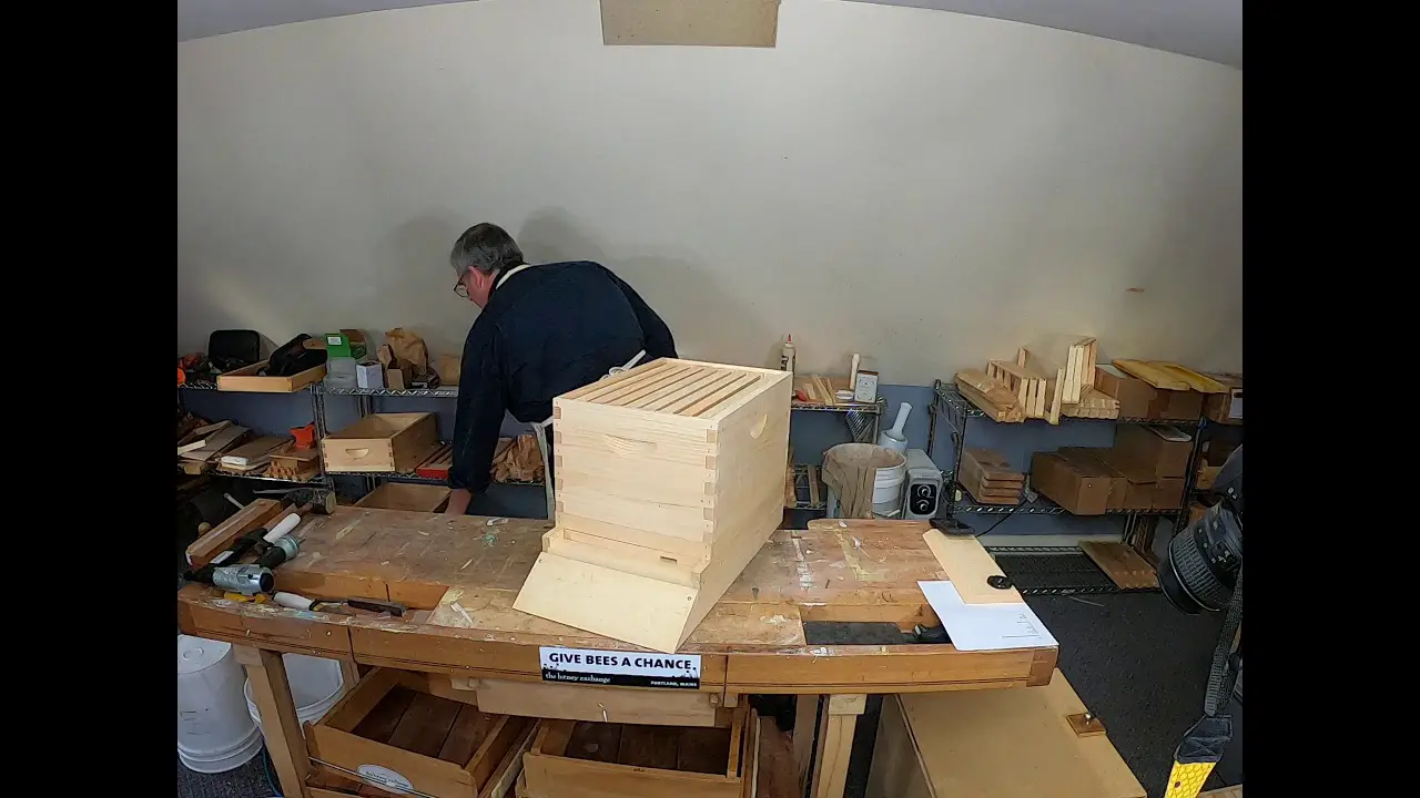 is plywood bad for bees? 2
