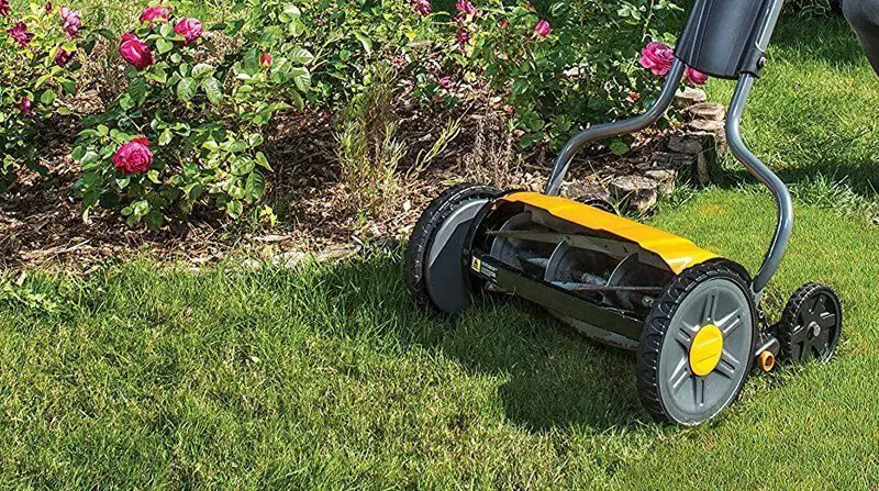 Push Reel Mowers are best for use around a beehive