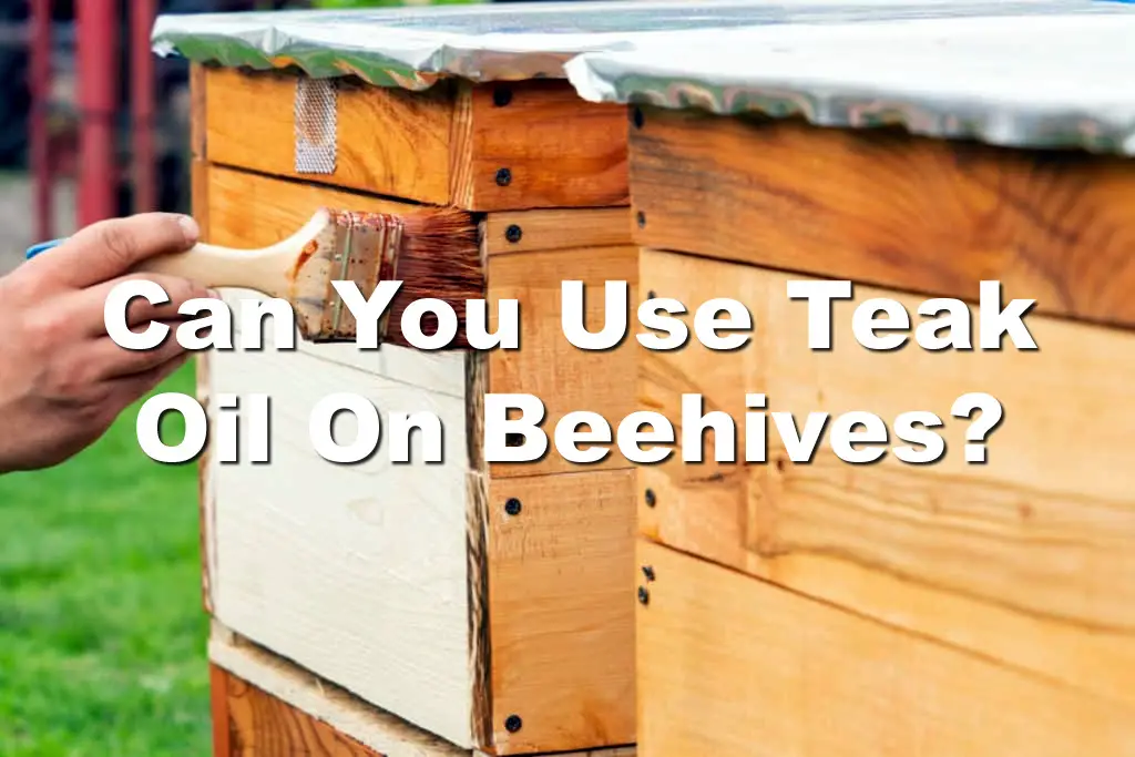 Can You Use Teak Oil On Beehives?