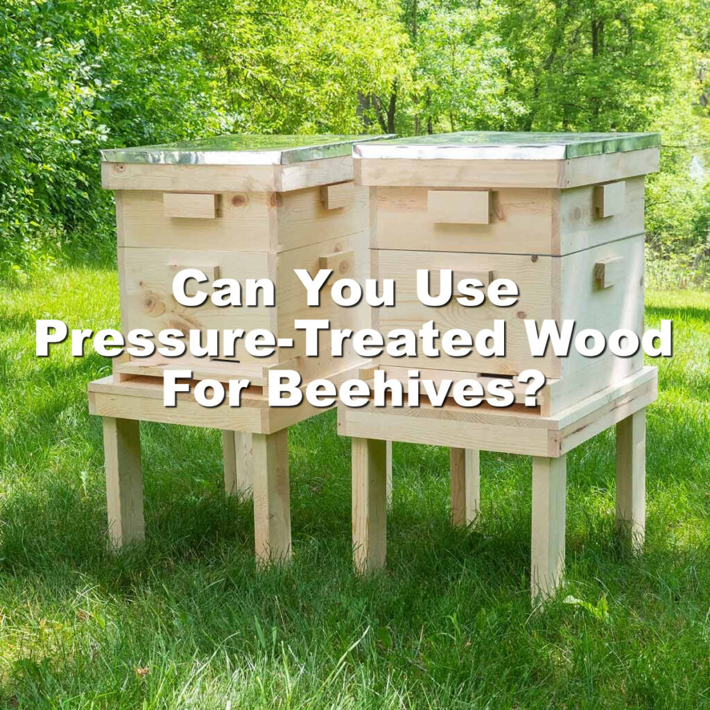 Can you use pressure treated wood for beehives?
