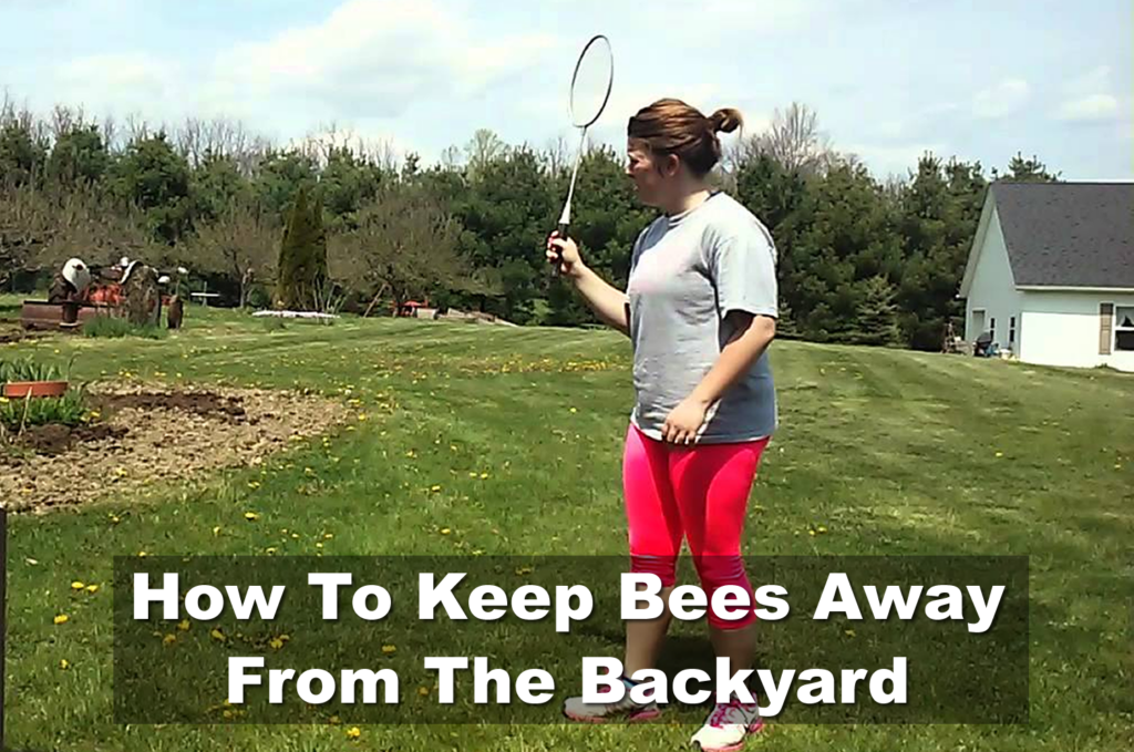 How To Keep Bees Away From The Backyard