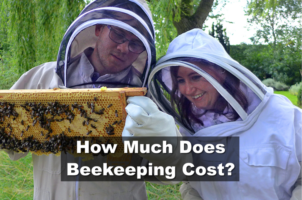 How much does beekeeping cost