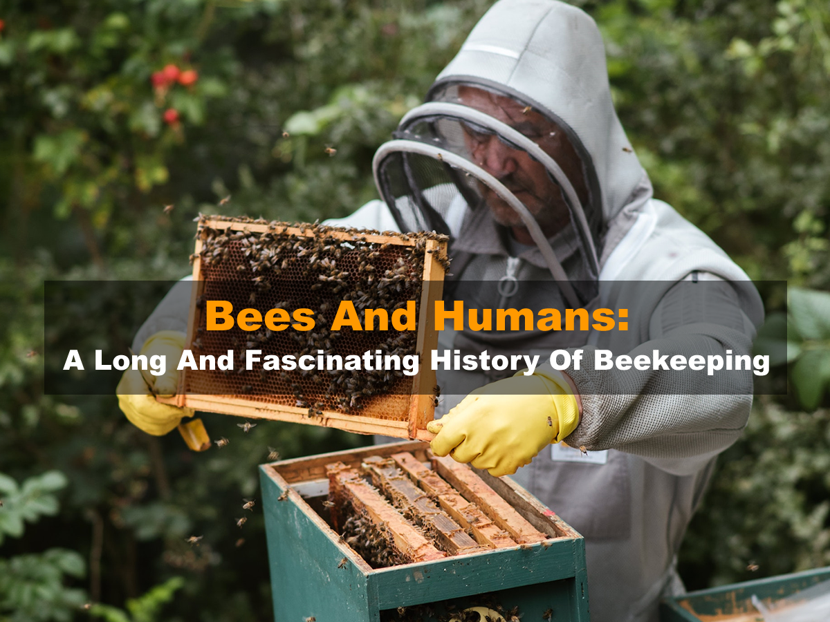 essays in beekeeping history