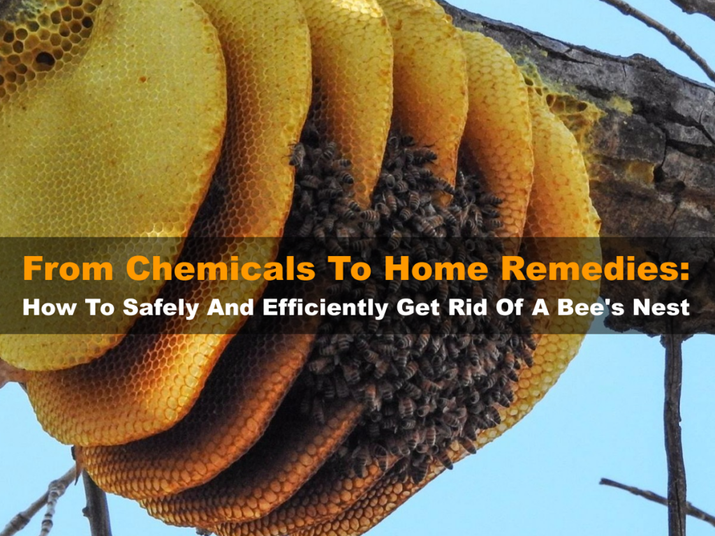 From Chemicals To Home Remedies: How To Safely And Efficiently Get Rid Of A Bee's Nest