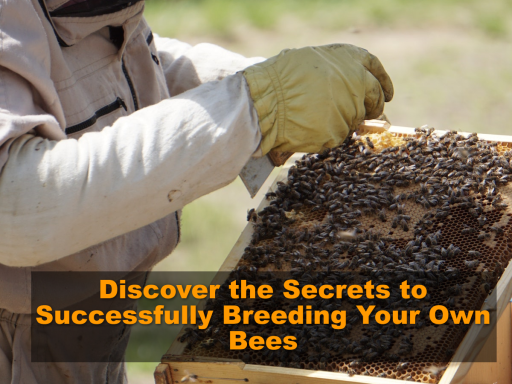Discover the Secrets to Successfully Breeding Your Own Bees