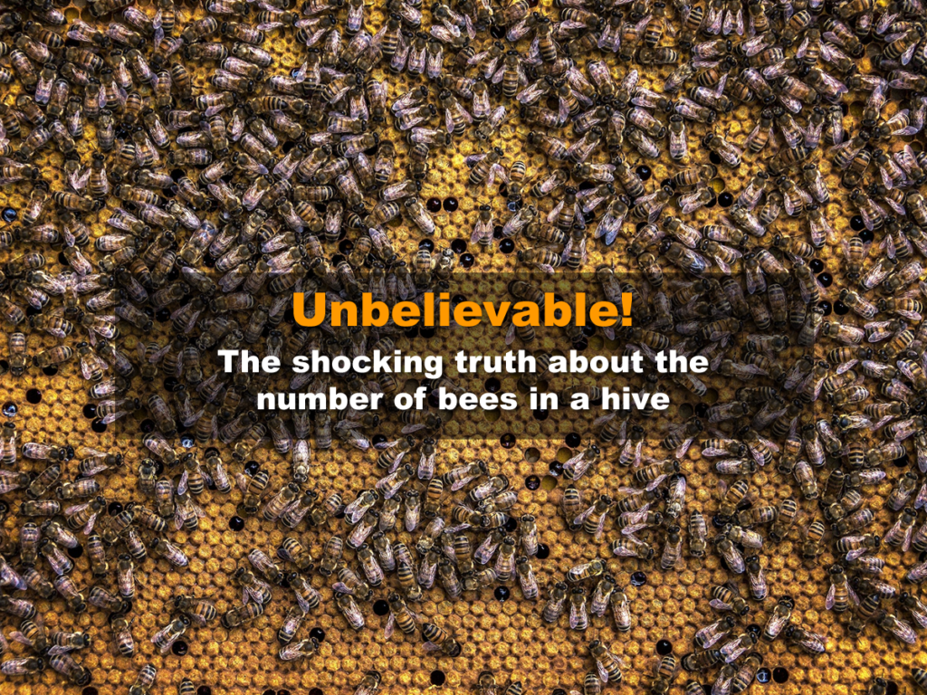 Unbelievable - The shocking truth about the number of bees in a hive