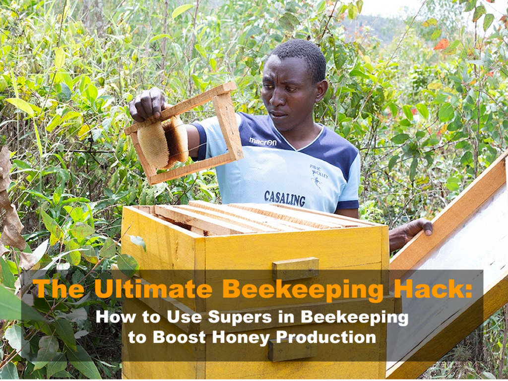 What Is A Super In Beekeeping