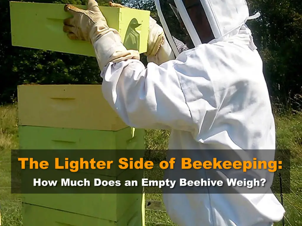The Lighter Side of Beekeeping: How Much Does an Empty Beehive Weigh