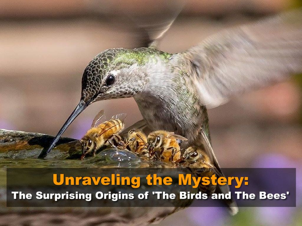 Unraveling the Mystery: The Surprising Origins of 'The Birds and The Bees'