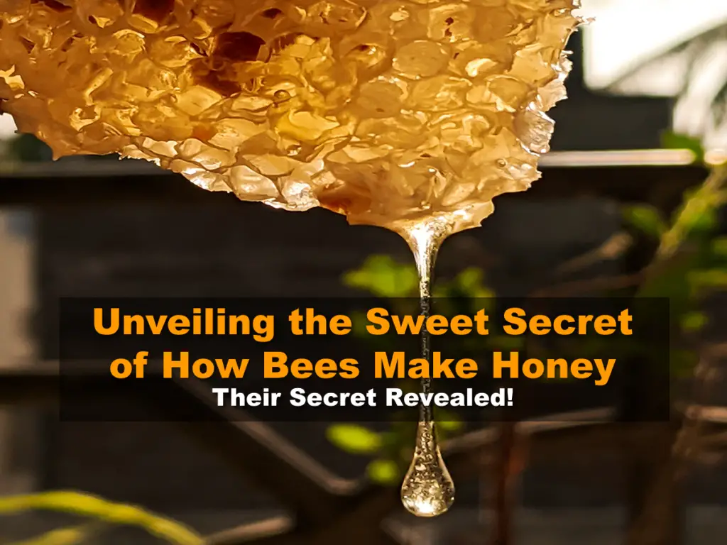 Unveiling the Sweet Secret of How Bees Make Honey - Their Secret Revealed!