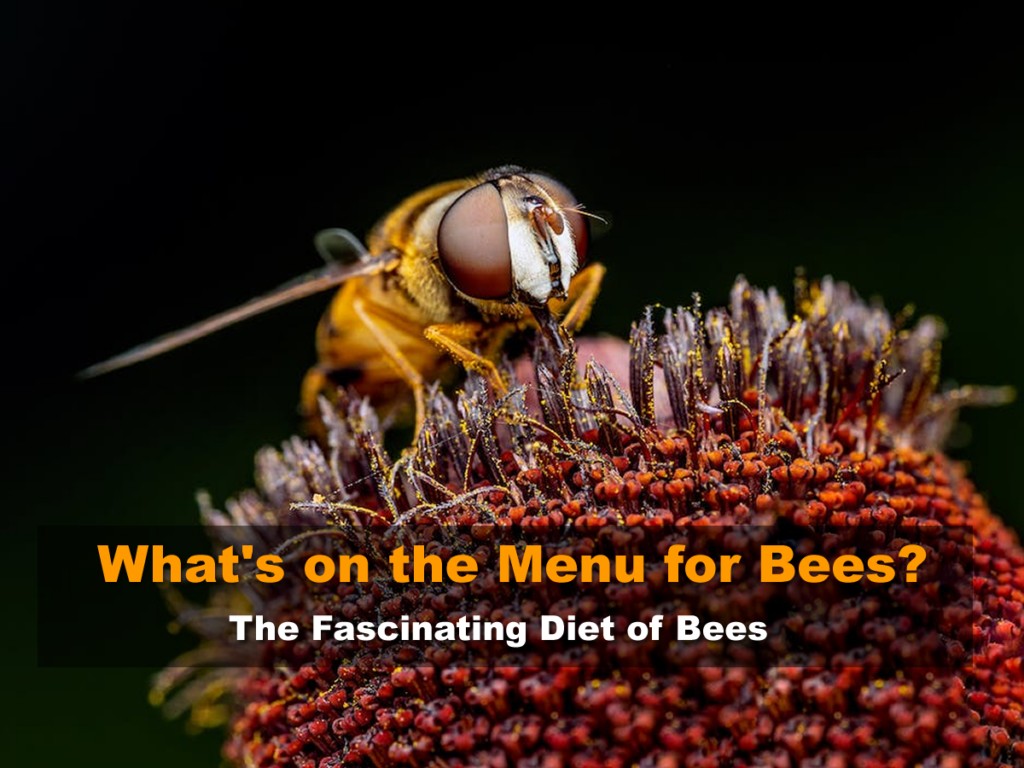 What's on the Menu for Bees? The Fascinating Diet of Bees