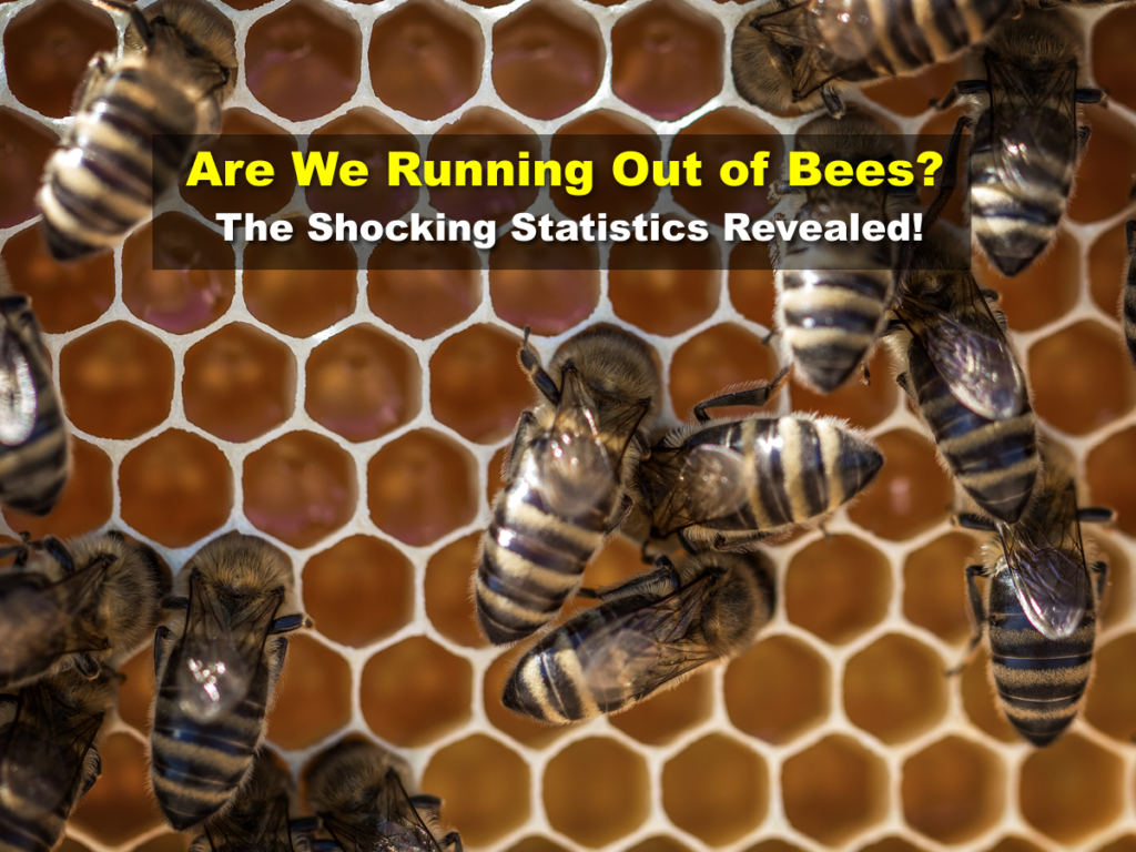 Are We Running Out of Bees? The Shocking Statistics Revealed!