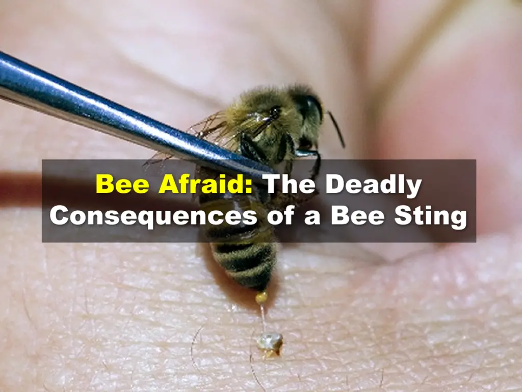 Bee Afraid: The Deadly Consequences of a Bee Sting