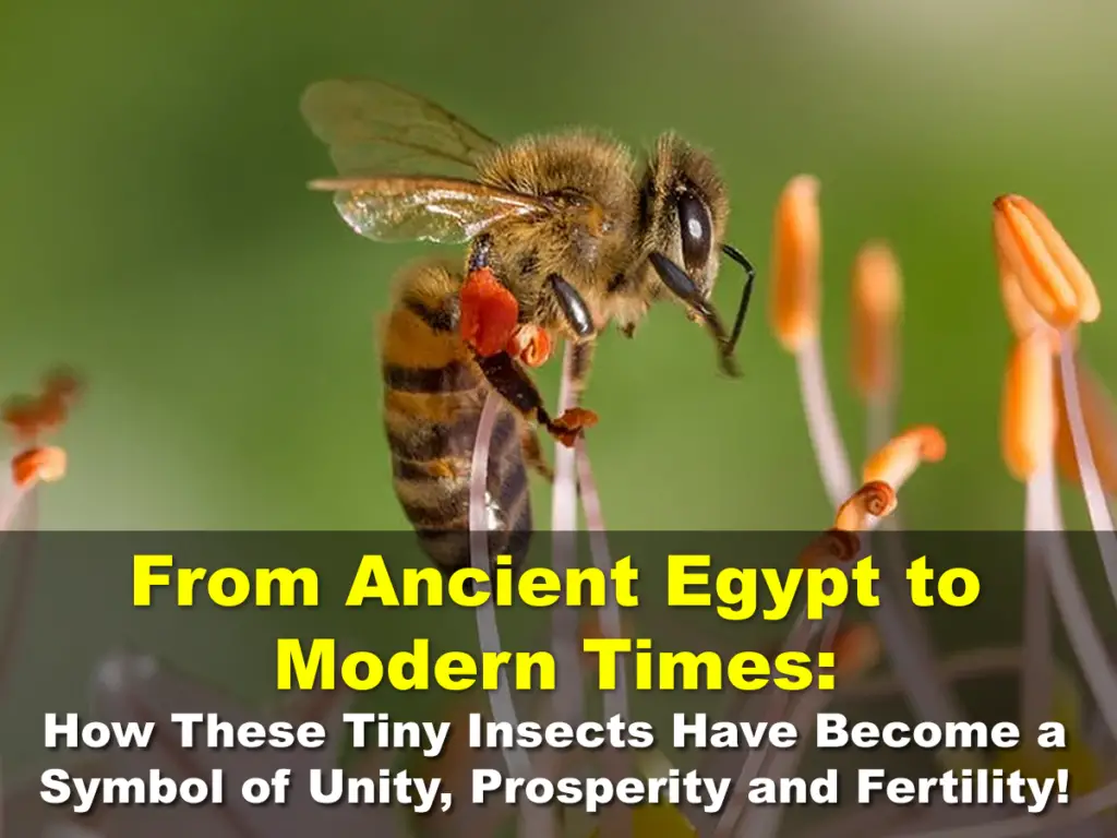 From Ancient Egypt to Modern Times: How These Tiny Insects Have Become a Symbol of Unity, Prosperity and Fertility!