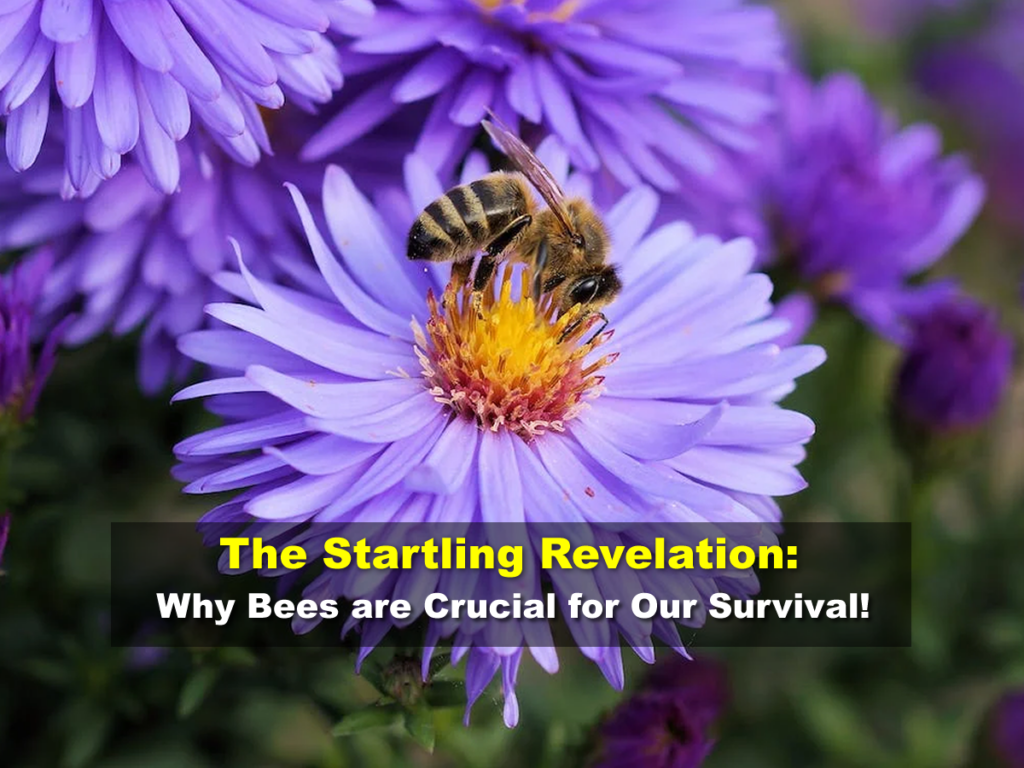 The Startling Revelation: Why Bees are Crucial for Our Survival!