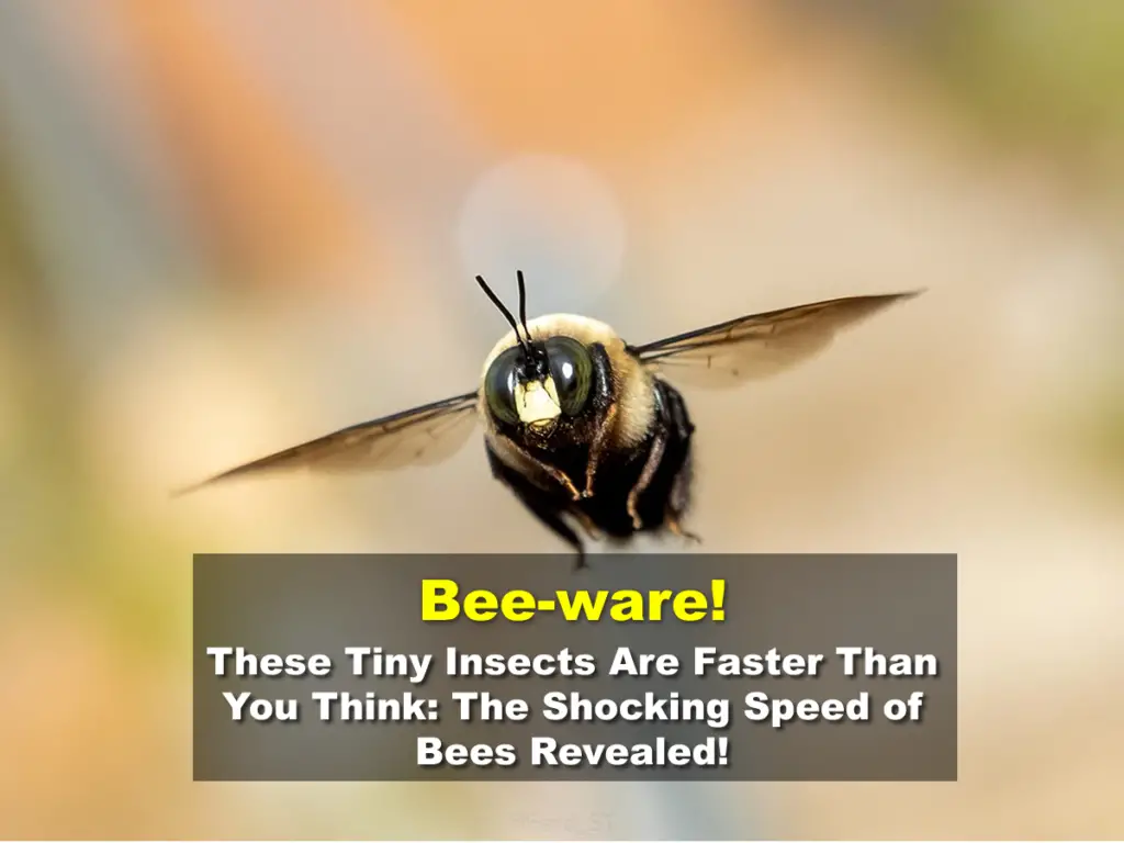 Bee-ware! These Tiny Insects Are Faster Than You Think: The Shocking Speed of Bees Revealed!