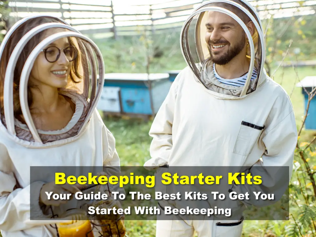 Beekeeper Starter Kit