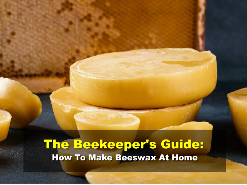 The Beekeeper's Guide: How To Make Beeswax At Home