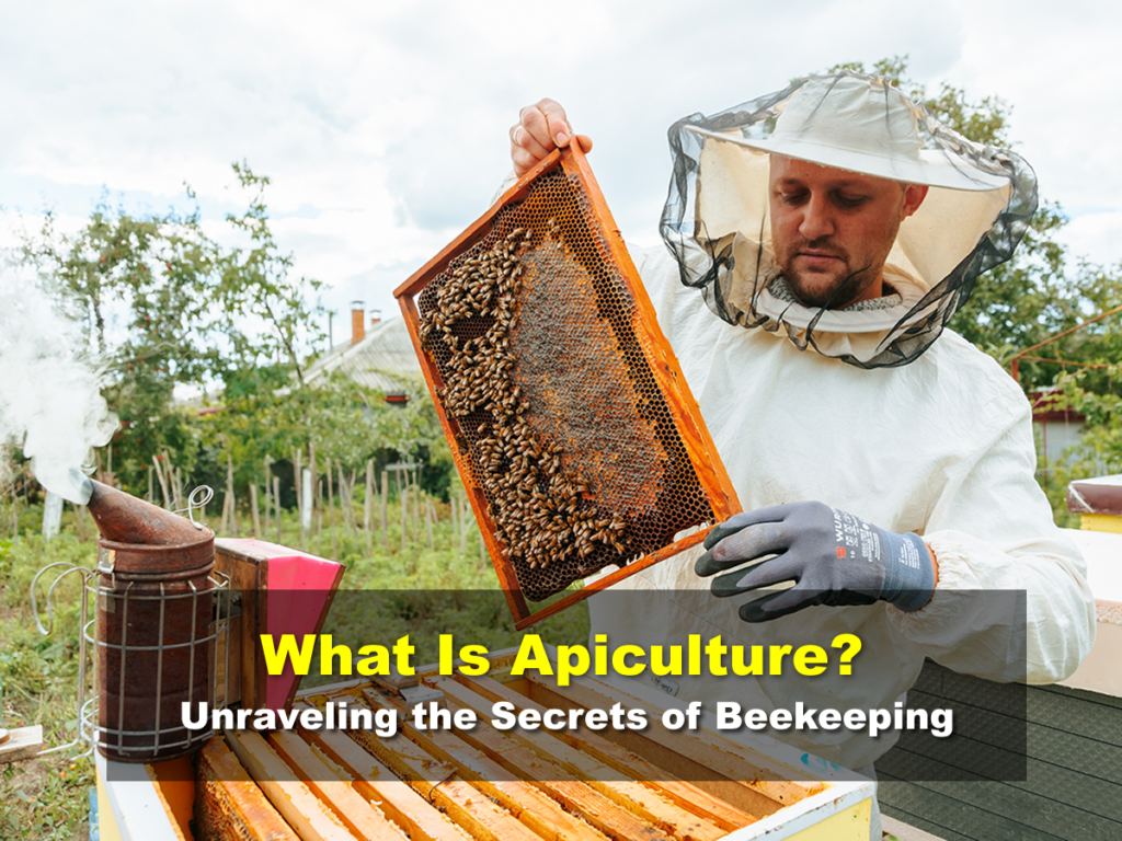 What Is Apiculture? Unraveling the Secrets of Beekeeping