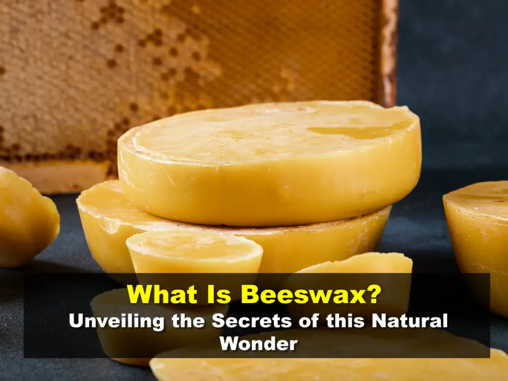 What Is Beeswax?