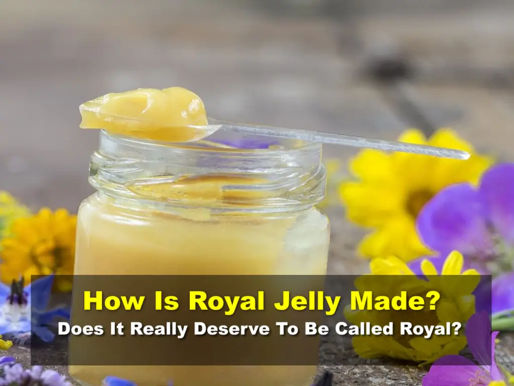 How Is Royal Jelly Made- Does It Really Deserve To Be Called Royal?