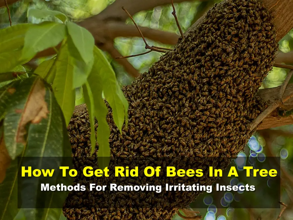 How To Get Rid Of Bees In A Tree- Methods For Removing Irritating Insects